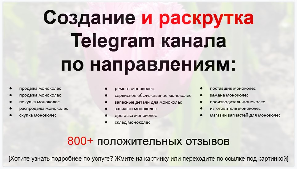 Сервис раскрутки коммерции в Telegram по близким направлениям - Магазин моноколес
