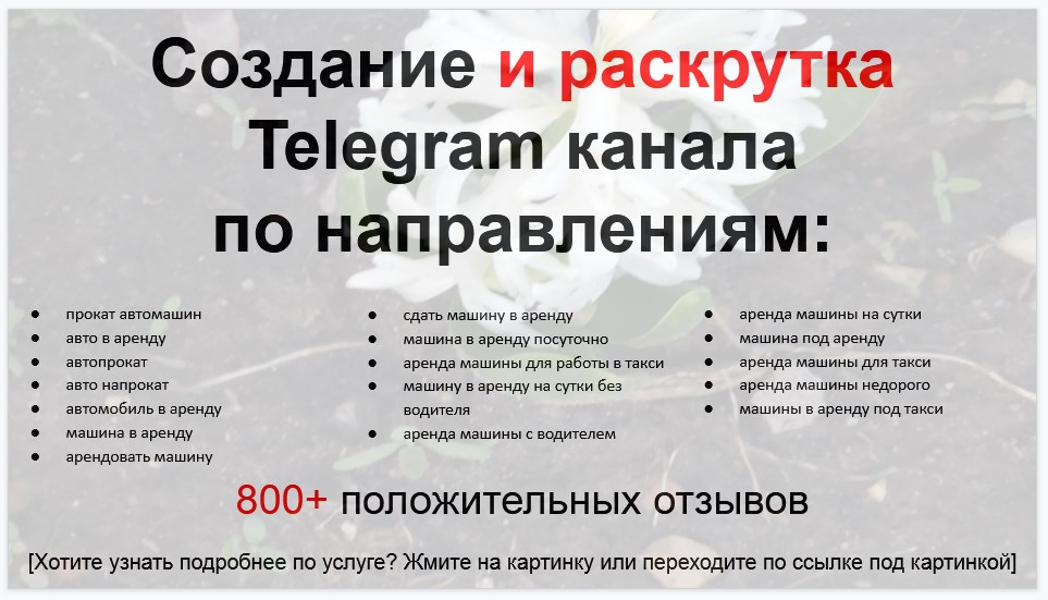 Сервис раскрутки коммерции в Telegram по близким направлениям - Прокат автомашин