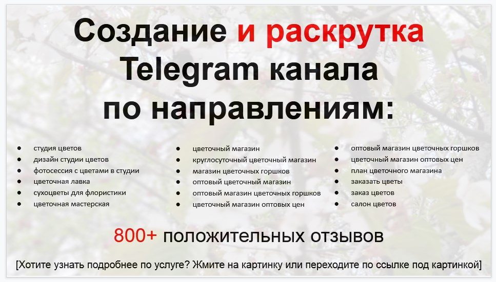 Сервис раскрутки коммерции в Telegram по близким направлениям - Студия флористики и цветов