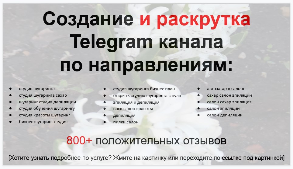 Сервис раскрутки коммерции в Telegram по близким направлениям - Студия шугаринга