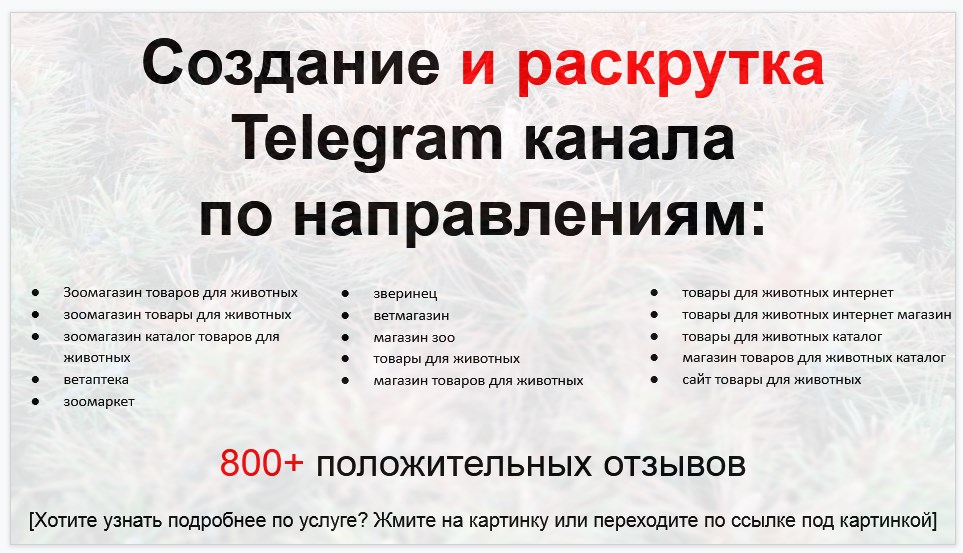 Сервис раскрутки коммерции в Telegram по близким направлениям - Зоомагазин товаров для животных