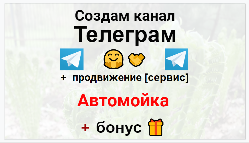 Сервис продвижения коммерции в Telegram - Автомойка
