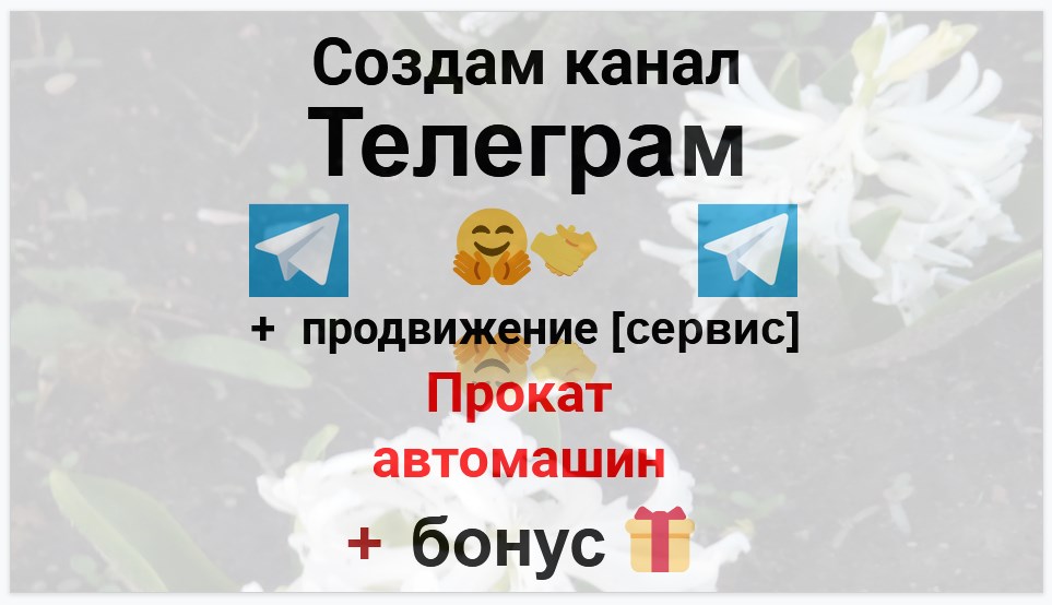 Сервис продвижения коммерции в Telegram - Прокат автомашин