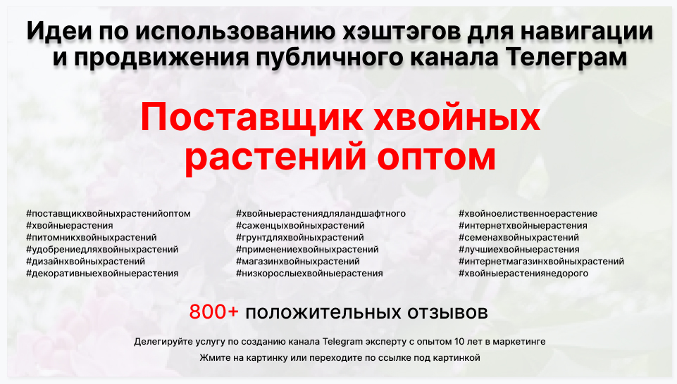 Подборка хэштегов для продвижения постов в публичном бизнес Телеграм канале - Компания-поставщик хвойных растений оптом