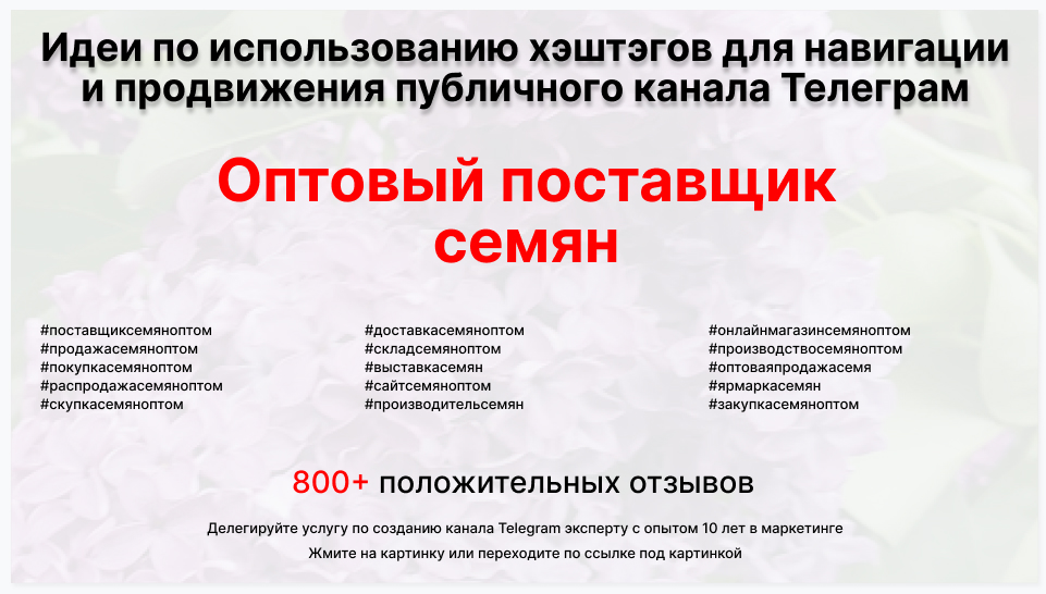 Подборка хэштегов для продвижения постов в публичном бизнес Телеграм канале - Поставщик семян оптом