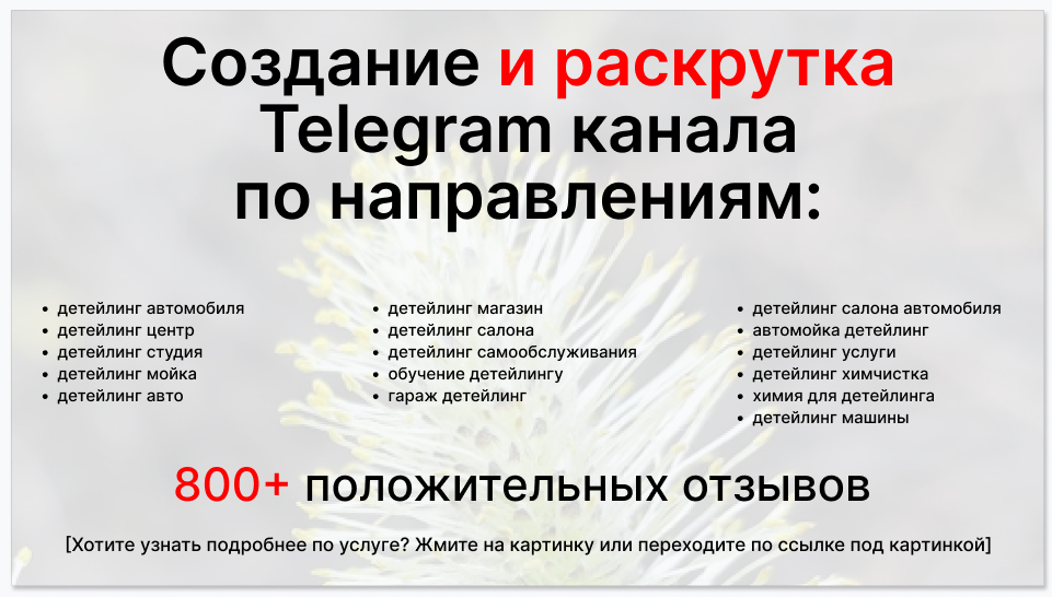 Сервис раскрутки коммерции в Telegram по близким направлениям - Детейлинг центр