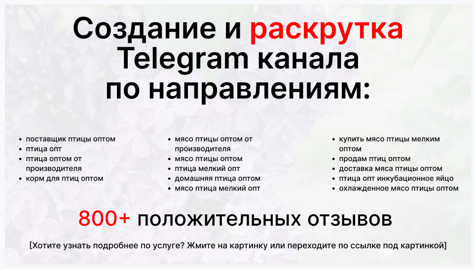 Сервис раскрутки коммерции в Telegram по близким направлениям - Фирма-поставщик птицы оптом