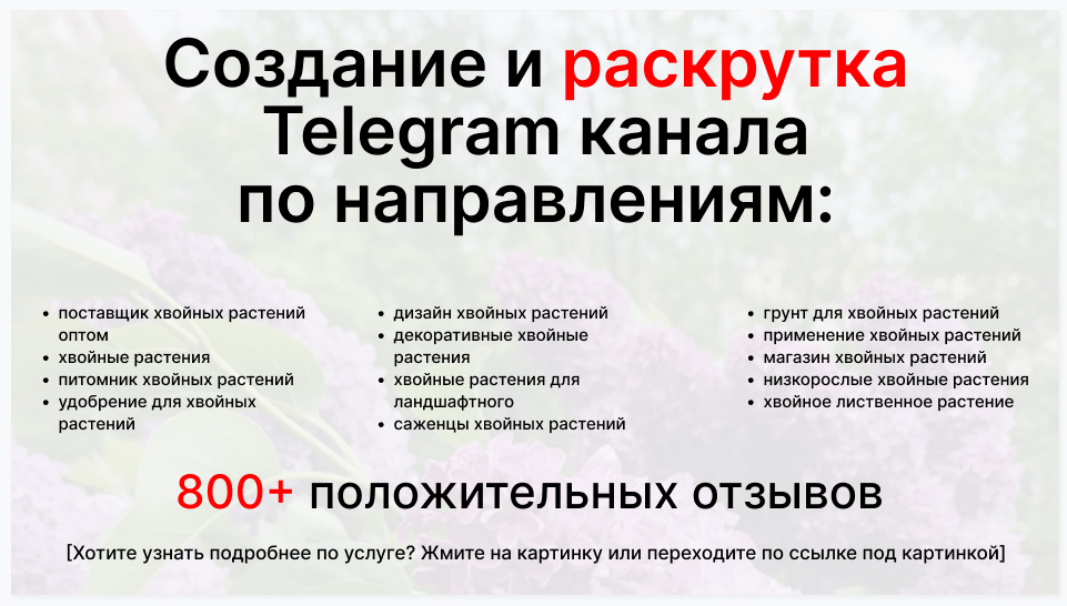 Сервис раскрутки коммерции в Telegram по близким направлениям - Компания-поставщик хвойных растений оптом