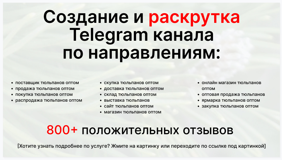 Сервис раскрутки коммерции в Telegram по близким направлениям - Компания-поставщик тюльпанов оптом