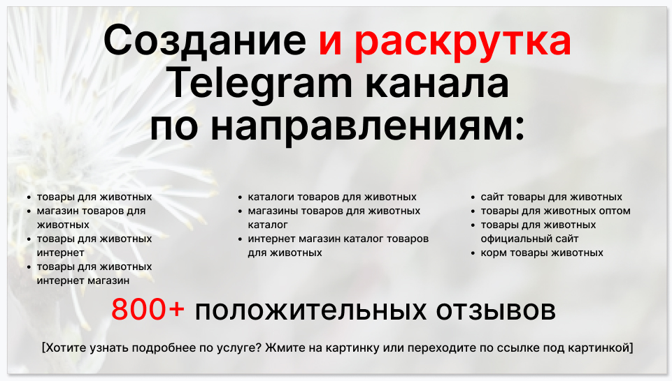 Сервис раскрутки коммерции в Telegram по близким направлениям - Поставщик товаров для животных