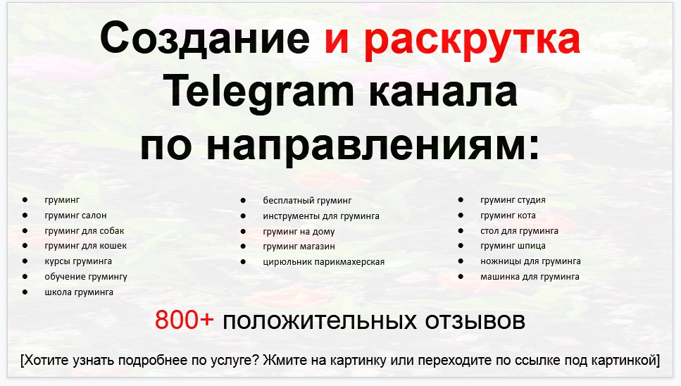 Сервис раскрутки коммерции в Telegram по близким направлениям - Салон груминга