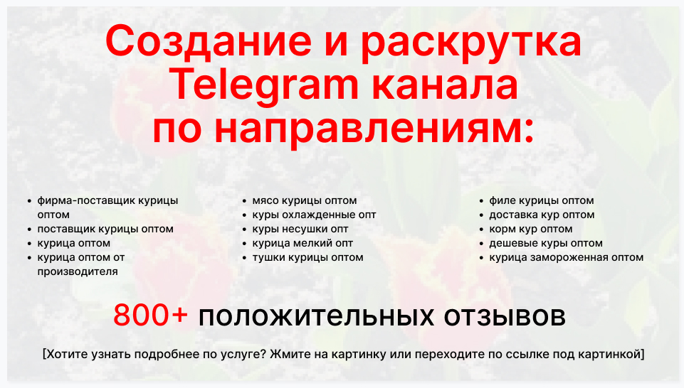 Сервис раскрутки коммерции в Telegram по близким направлениям - Торговая фирма-поставщик курицы оптом