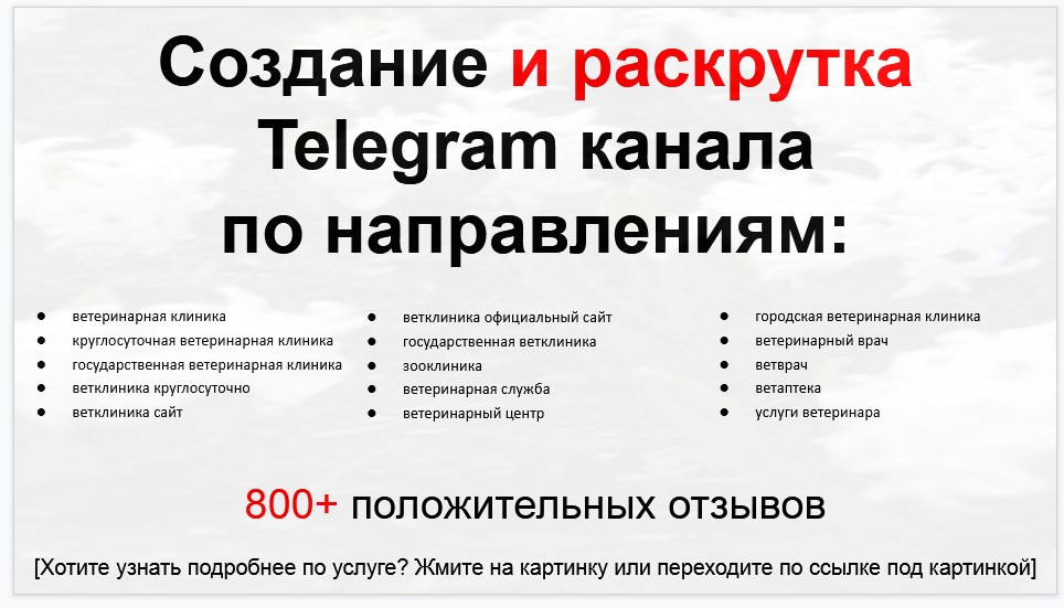 Сервис раскрутки коммерции в Telegram по близким направлениям - Ветеринарная клиника