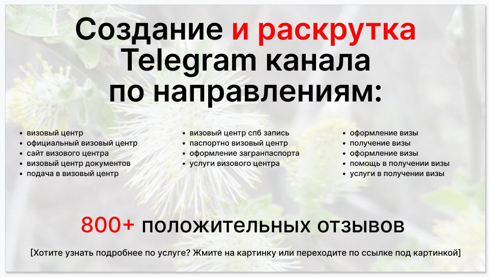 Сервис раскрутки коммерции в Telegram по близким направлениям - Визовый центр