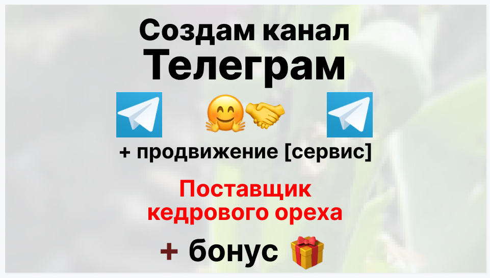 Сервис продвижения коммерции в Telegram - Фирма-поставщик кедрового ореха