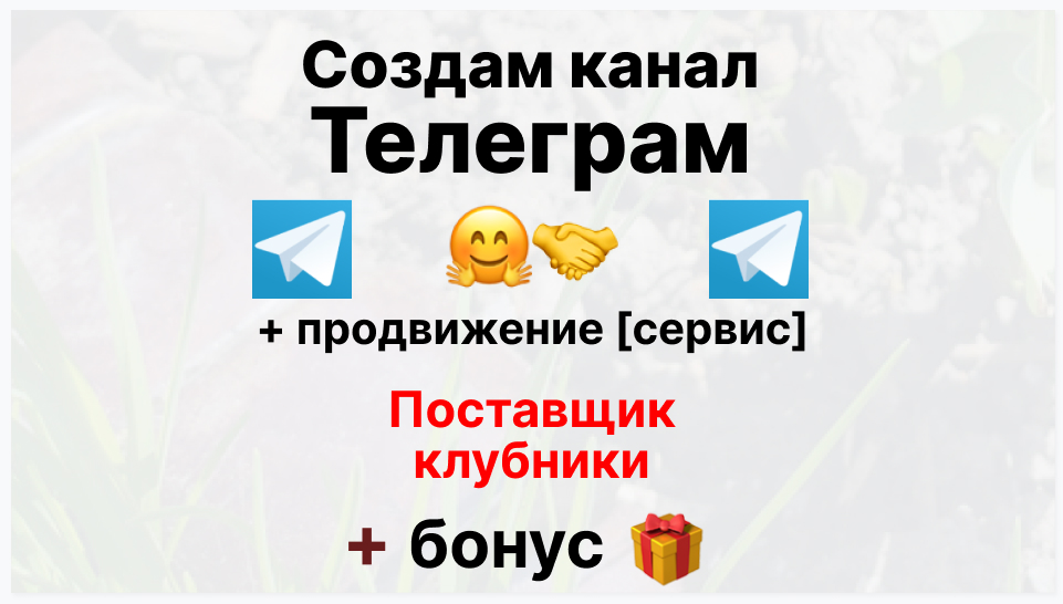 Сервис продвижения коммерции в Telegram - Фирма-поставщик клубники круглый год