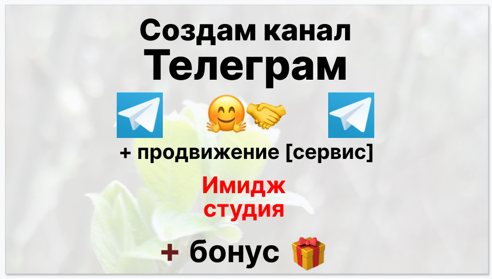 Сервис продвижения коммерции в Telegram - Имидж-студия
