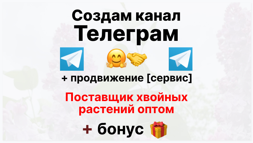 Сервис продвижения коммерции в Telegram - Компания-поставщик хвойных растений оптом