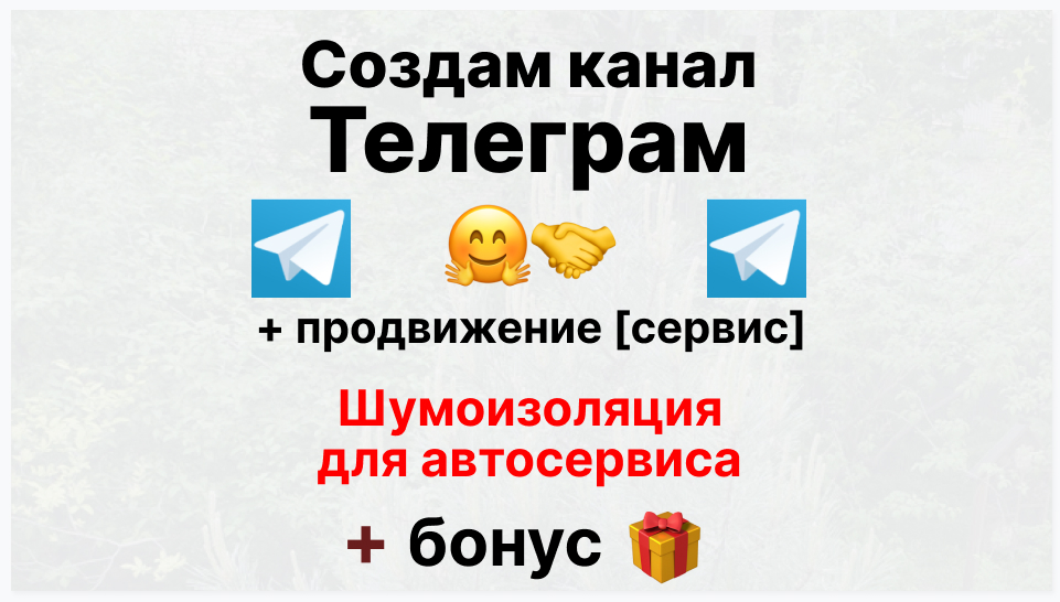 Сервис продвижения коммерции в Telegram - Компания-поставщик шумоизоляции для автосервиса