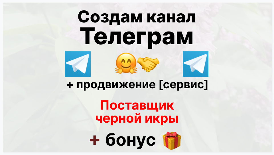 Сервис продвижения коммерции в Telegram - Поставщик черной икры