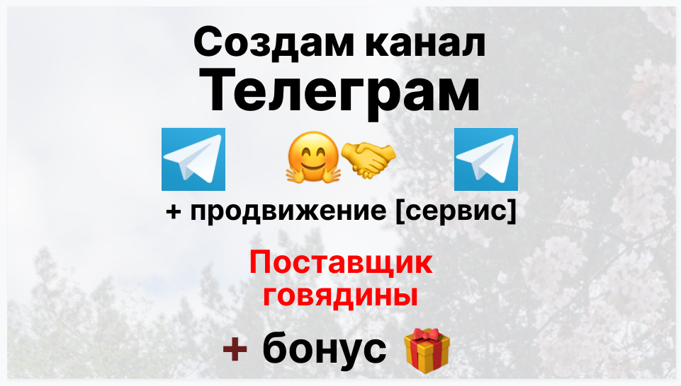 Сервис продвижения коммерции в Telegram - Поставщик говядины