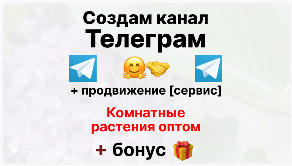Сервис продвижения коммерции в Telegram - Поставщик комнатных растений оптом