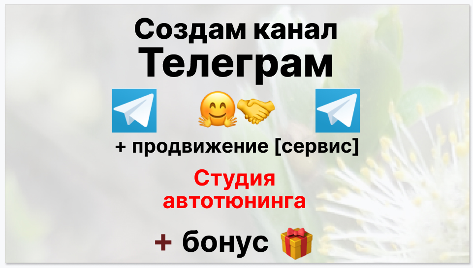 Сервис продвижения коммерции в Telegram - Студия автотюнинга