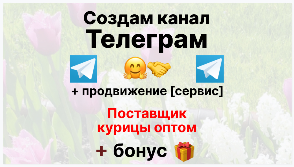 Сервис продвижения коммерции в Telegram - Торговая фирма-поставщик курицы оптом