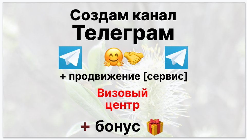 Сервис продвижения коммерции в Telegram - Визовый центр