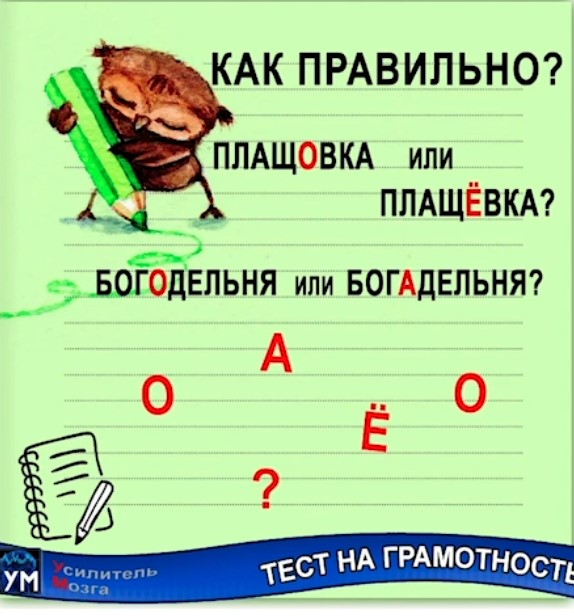Бесплатный тест на грамотность с ответами. Тест на грамотность. Тест на грамотность по русскому языку. Усилитель мозга тест на грамотность. Усилитель мозга.