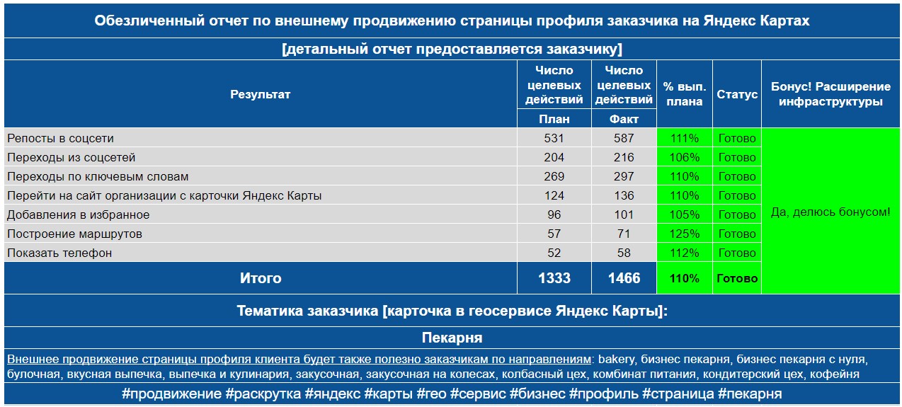 Обезличенный отчет по анализу профиля заказчика на Яндекс Картах